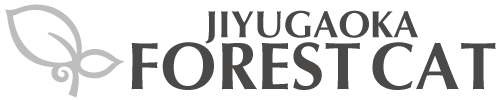 JIYUGAOKA FOREST CAT サイベリアンブリーダー